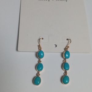 An  excellent designs earrings !
